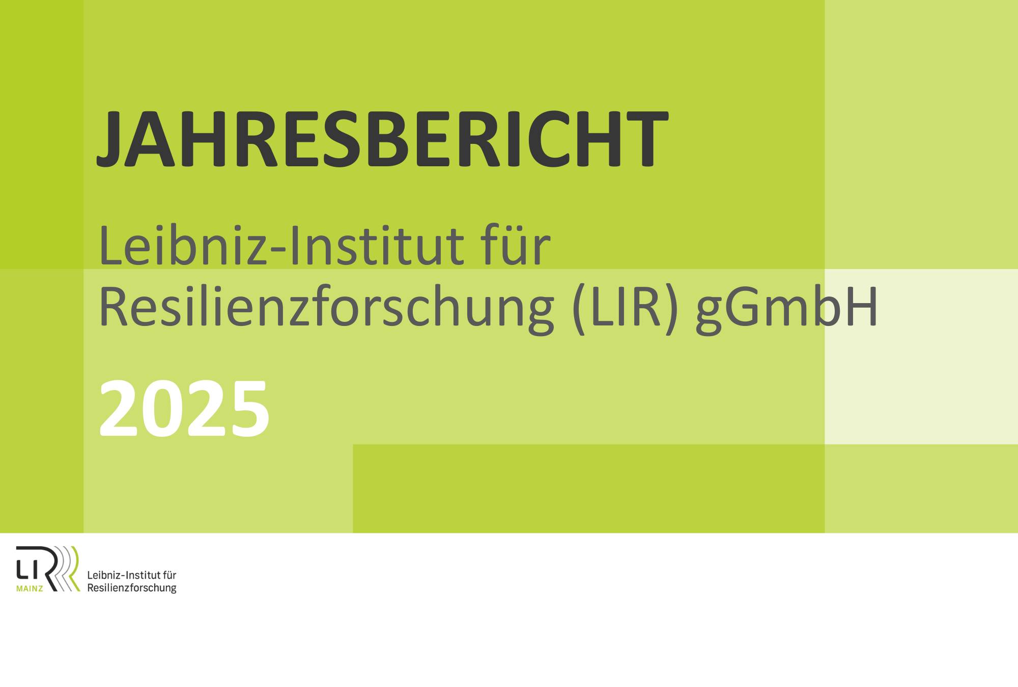 Erster Jahresbericht des LIR