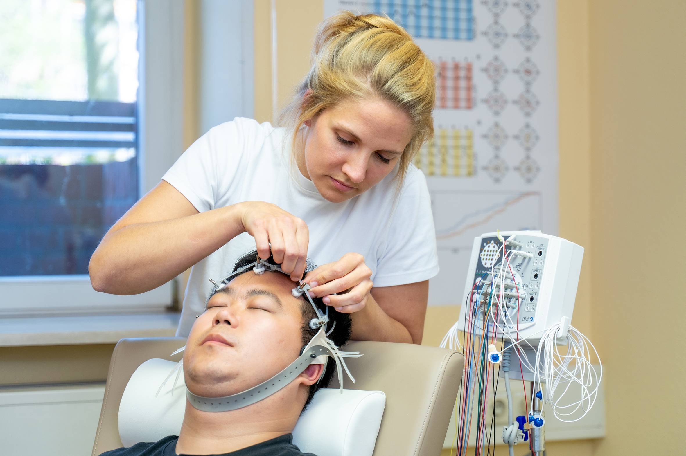 Gehirn passt sich aktiv an Stress an – besondere Rolle des Sehzentrums und des Vorderhirns aufgezeigt